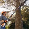 stihl HTA 50 batteristangsav i funktion