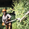 stihl hla 140 stanghækkeklipper i funktion 2